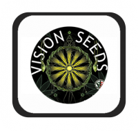 Brands - Vision Seeds